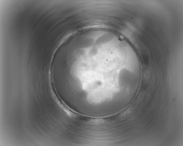 X0000070361282200606121159