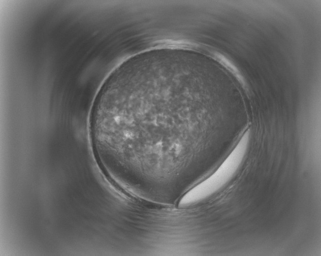 X0000070361283200606121159