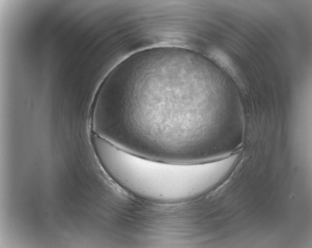 X0000070361284200606121159