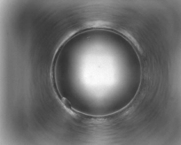 X0000070361285200606121159