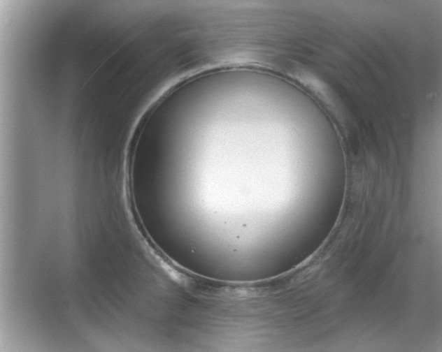 X0000070361286200606121159