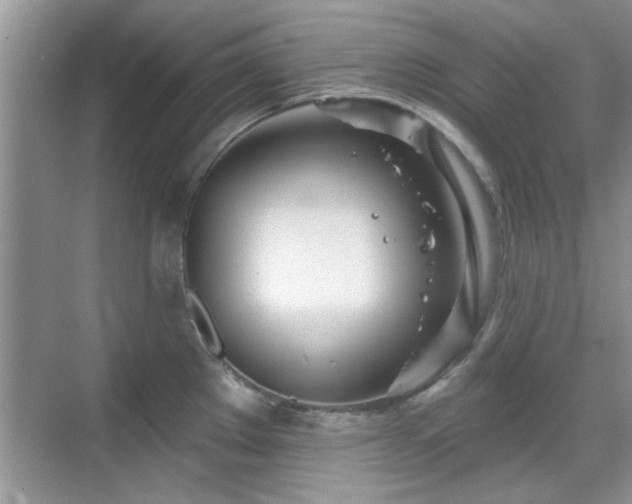 X0000070361289200606121159