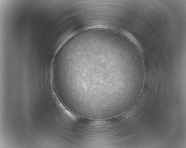 X0000070361290200606121159