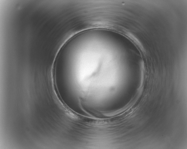 X0000070361291200606121159