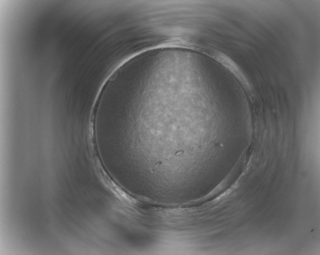 X0000070361292200606121159