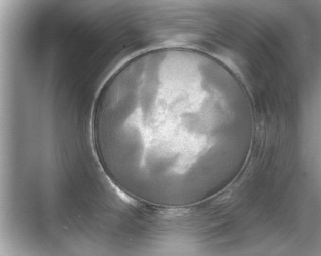 X0000070361294200606121159