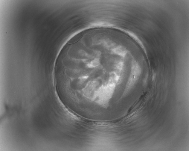 X0000070361295200606121159