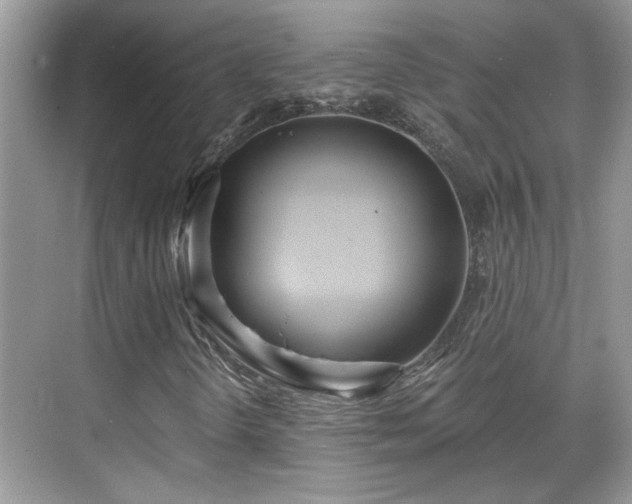 X0000070361298200606121158