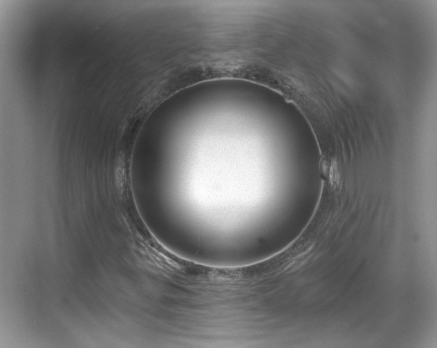 X0000070361299200606121158