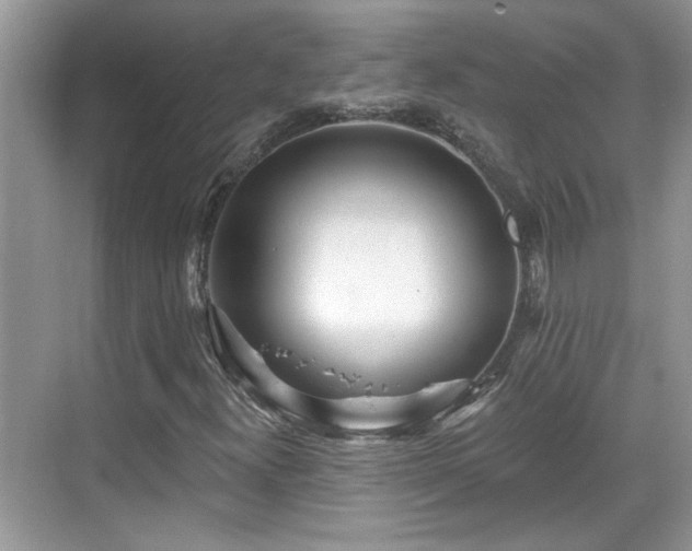 X0000070361300200606121158