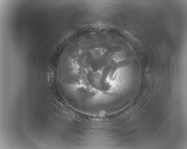 X0000070361302200606121158