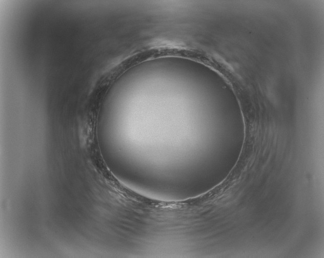 X0000070361303200606121159