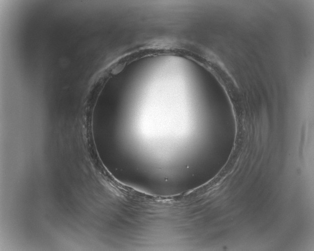 X0000070361304200606121159