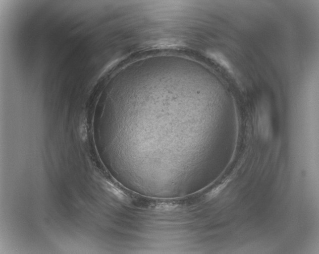 X0000070361306200606121159