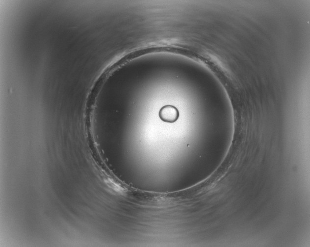 X0000070361308200606121159