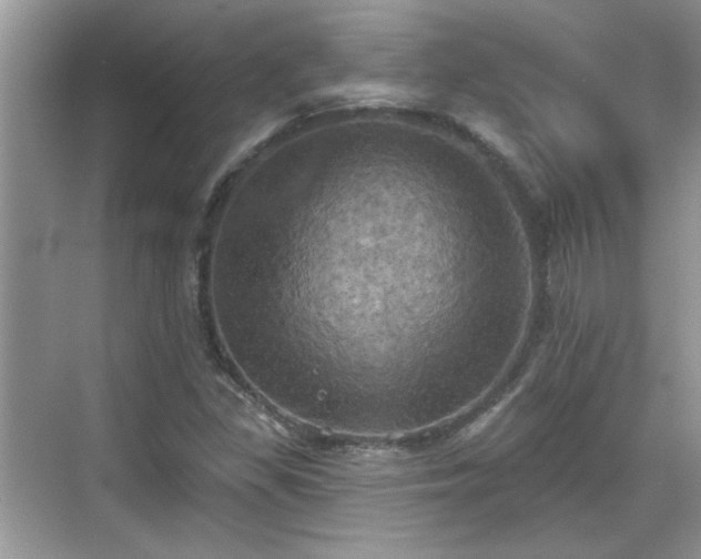 X0000070361309200606121159