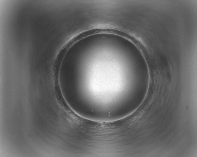 X0000070361311200606121159