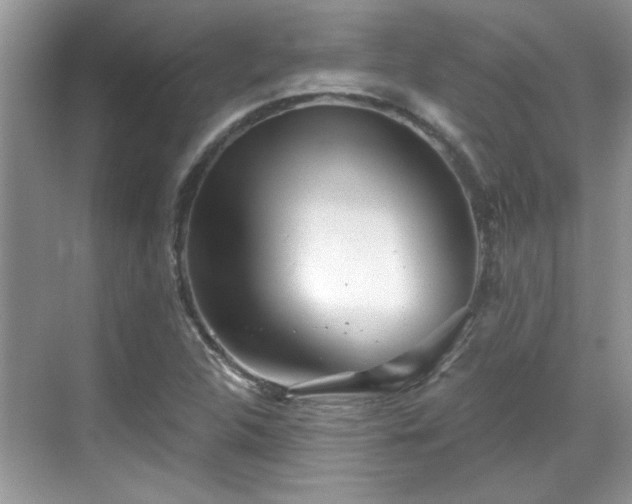 X0000070361312200606121159