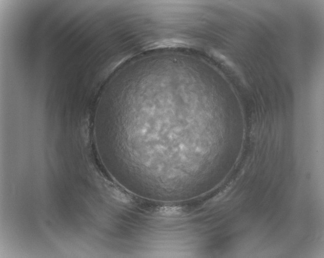 X0000070361313200606121159