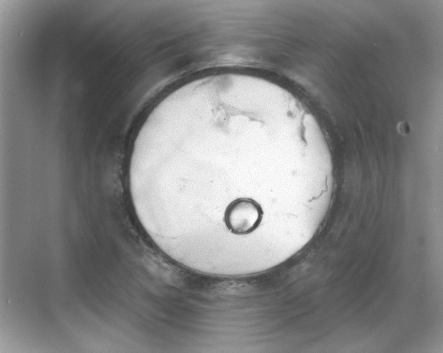 X0000070361314200606121159