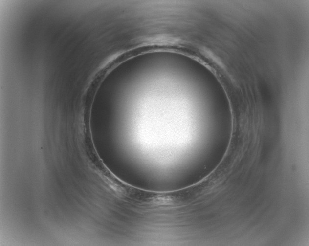 X0000070361315200606121159