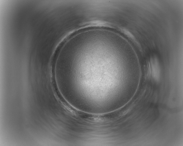 X0000070361318200606121159