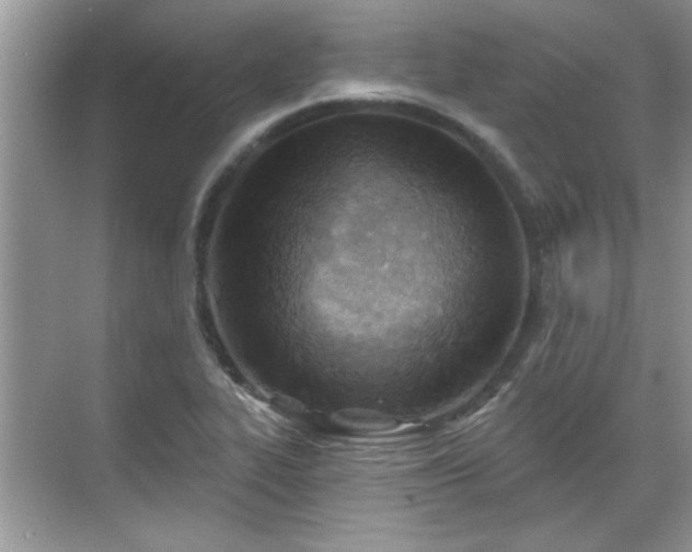 X0000070361319200606121159