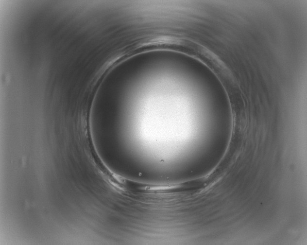 X0000070361321200606121159