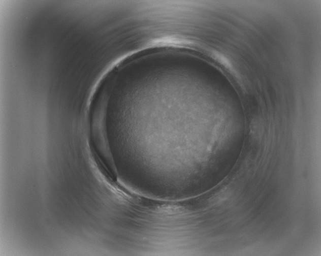 X0000070361323200606121159