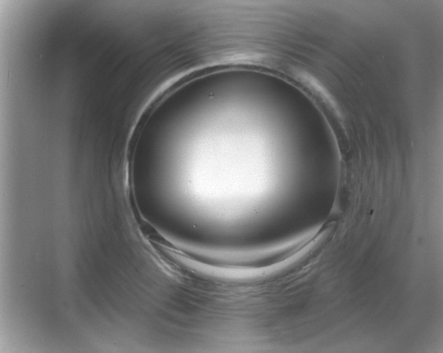 X0000070361324200606121159