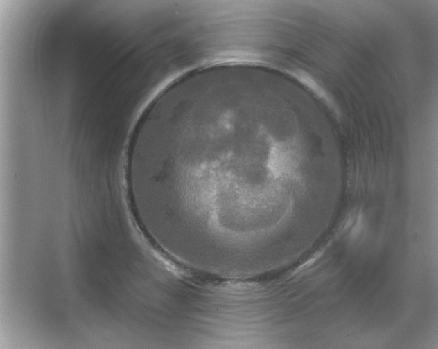 X0000070361325200606121159