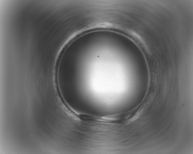 X0000070361326200606121159