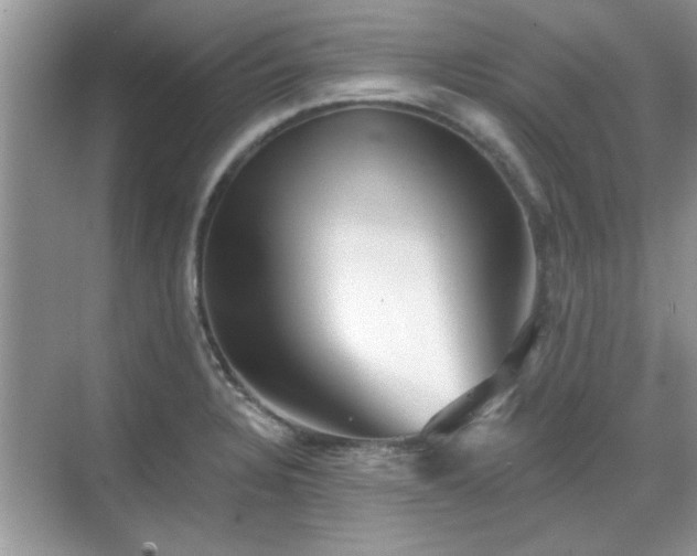 X0000070361328200606121159