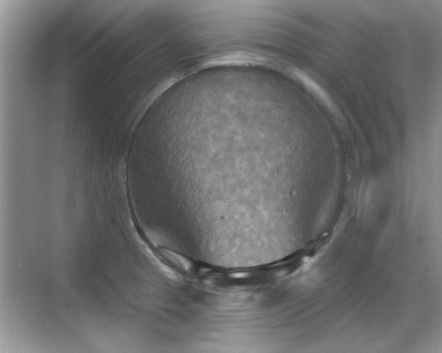 X0000070361329200606121159