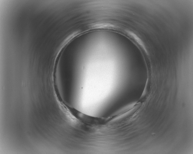 X0000070361330200606121159