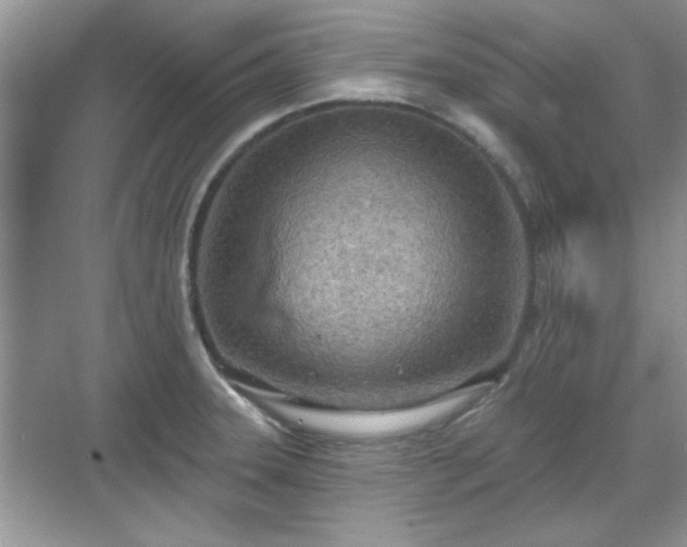 X0000070361331200606121159