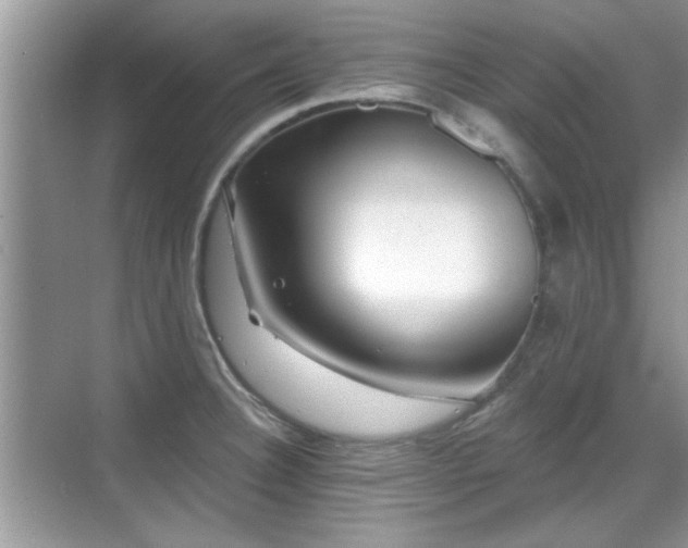 X0000070361332200606121159