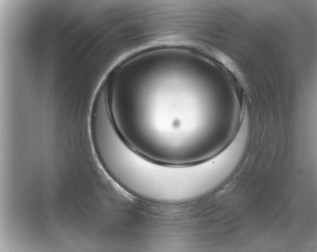 X0000070361334200606121159