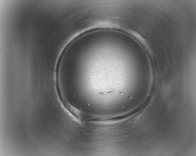 X0000070361335200606121159