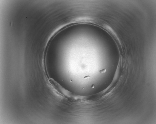 X0000070361336200606121159