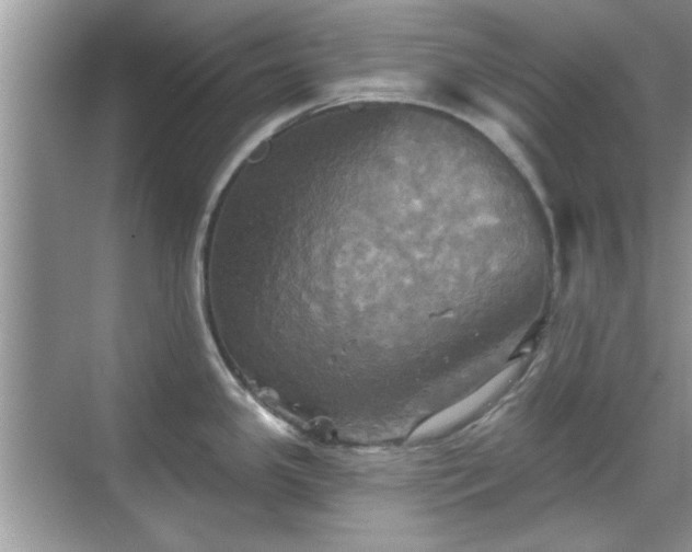 X0000070361341200606121159