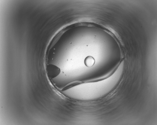 X0000070361342200606121159