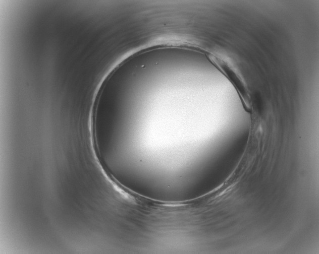 X0000070361343200606121159