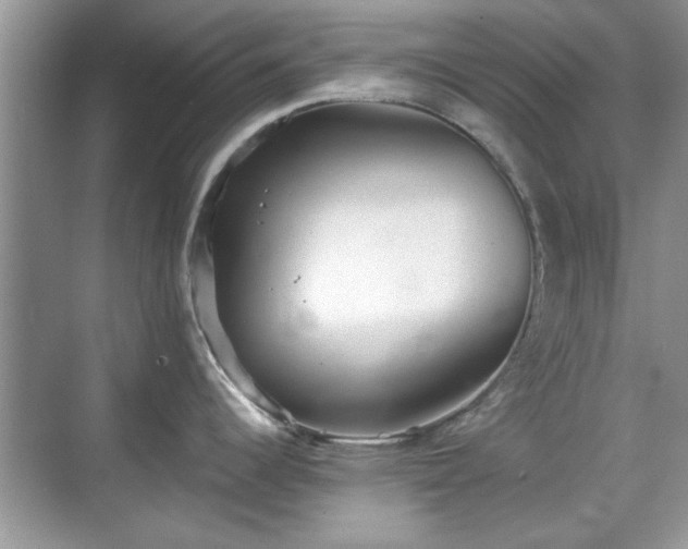 X0000070361344200606121159