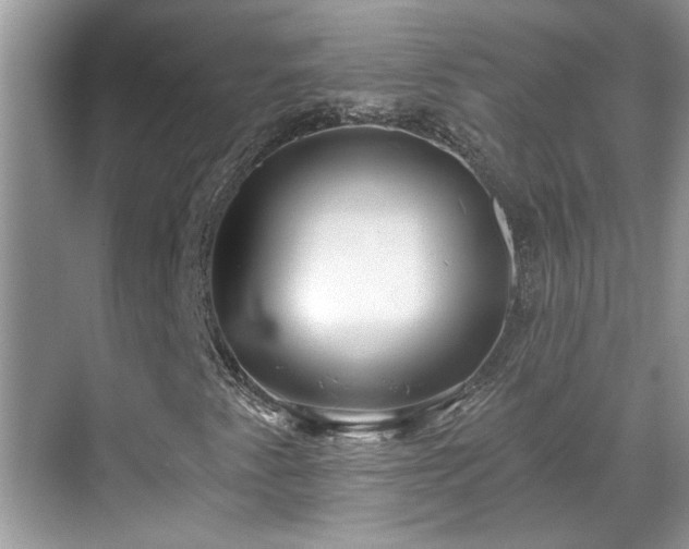 X0000070361345200606121158