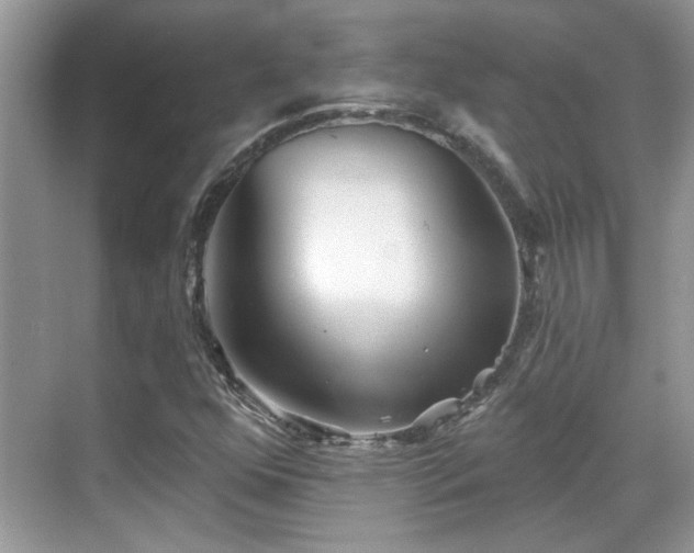 X0000070361352200606121158