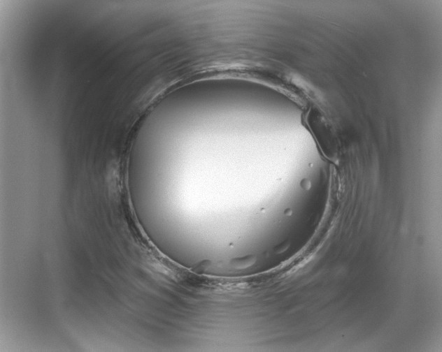 X0000070361353200606121158