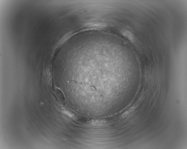 X0000070361354200606121158