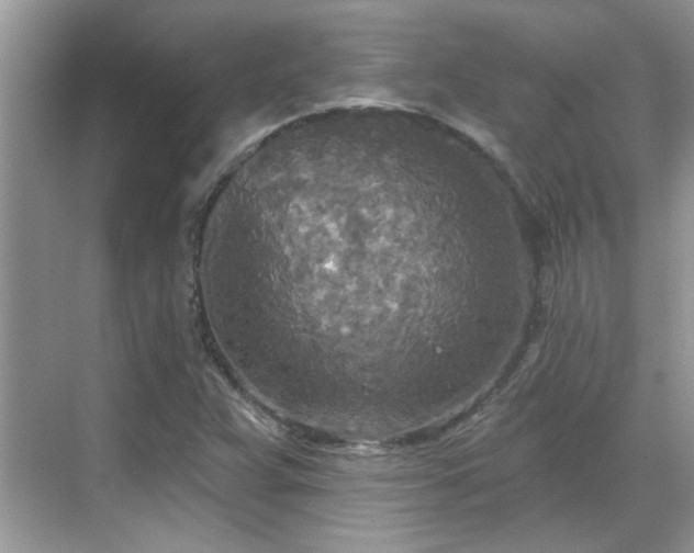 X0000070361359200606121158