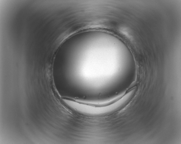 X0000070361361200606121158